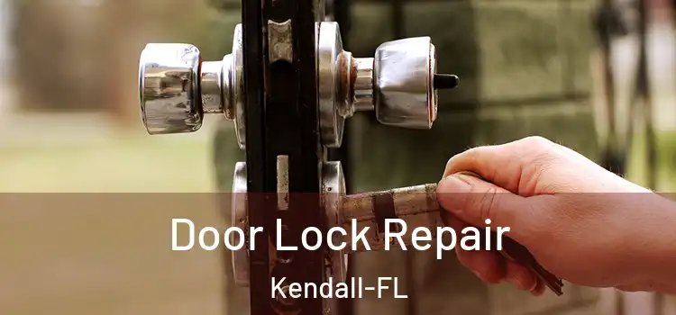  Door Lock Repair Kendall-FL