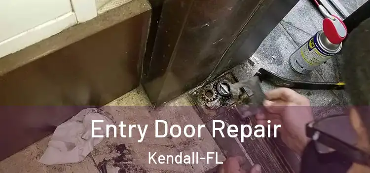 Entry Door Repair Kendall-FL