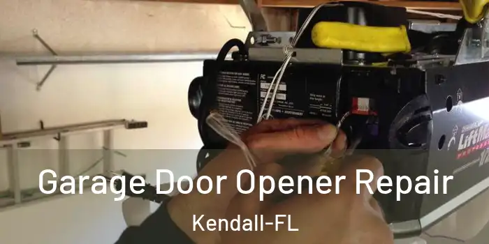 Garage Door Opener Repair Kendall-FL